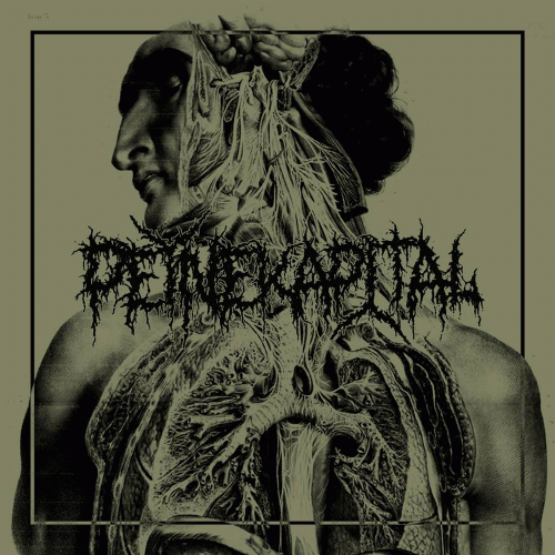 Peine Kapital : Equarrisseur